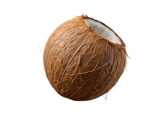 Cartoon Juicy Coconut 3d Rendering PNG: The New Standard for Digital Assets