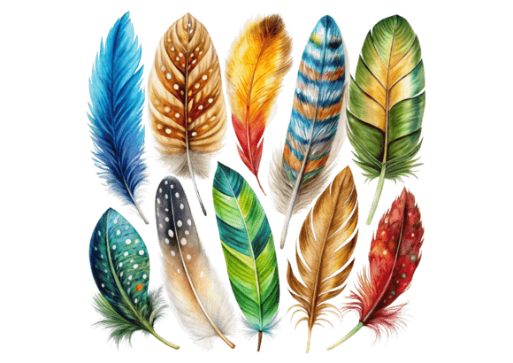 Colorful Detailed Bird Feathers 3D PNG: A Practical Guide for Designers and Creators